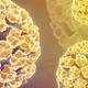 Image for article titled FDA Approves New HPV Test